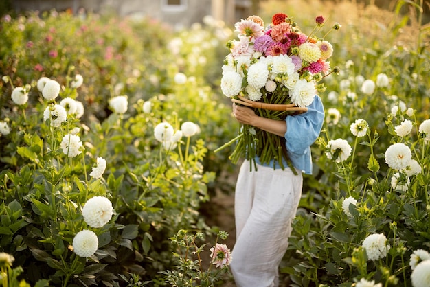 Woman with lots of flowers on dahlia farm outdoors