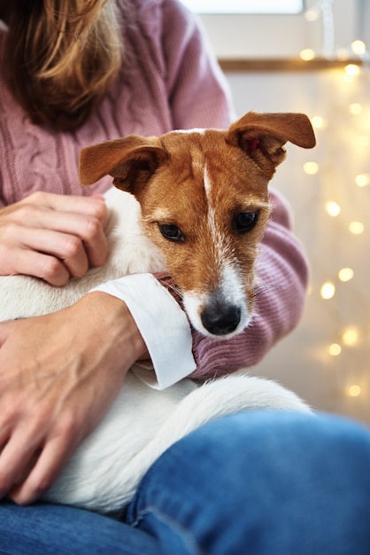 Woman with pet dog relaxing. Pet care concept