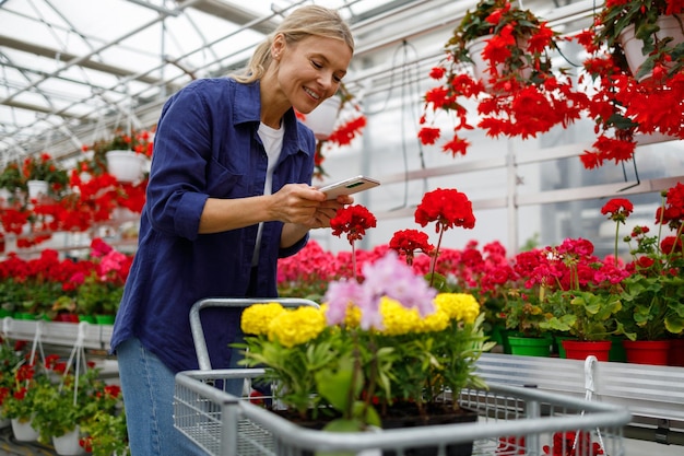 Woman with smartphone takes a photo of flowers in a cart that she bought in a garden center