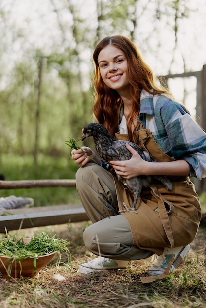 A woman with a smile takes care of a healthy chicken and holds a chicken in her hands while working on a farm in nature feeding organic food to birds in the sunshine