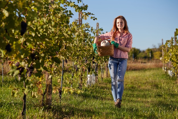 Woman working in a vineyard