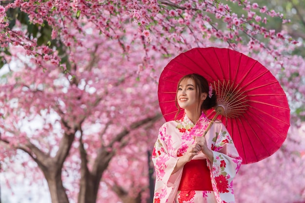 Woman in yukata (kimono dress) holding umbrella and looking sakura flower or cherry blossom blooming in the garden