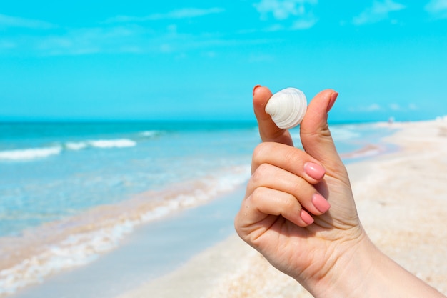 WomanÂ´s hand holding a seashell on the beach.