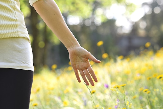 Womans open palm in a flower meadow