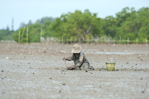 Women find shellfish in soil