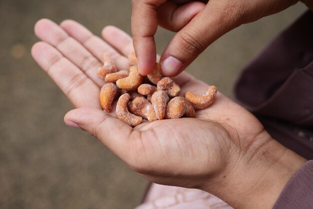 Women hand pick a cashew nut