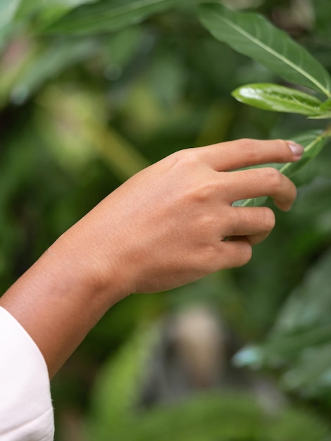 Women holding the leaf