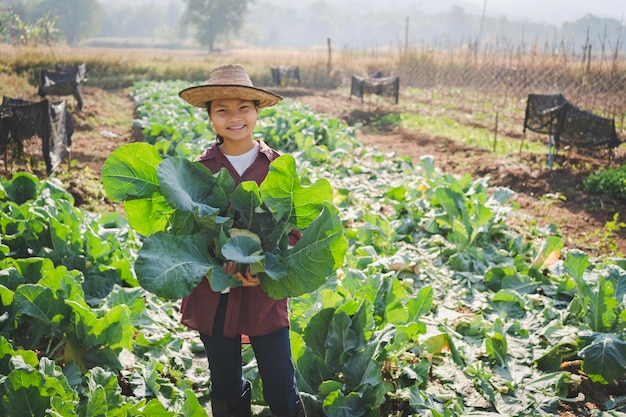 Women picking vegetables in garden