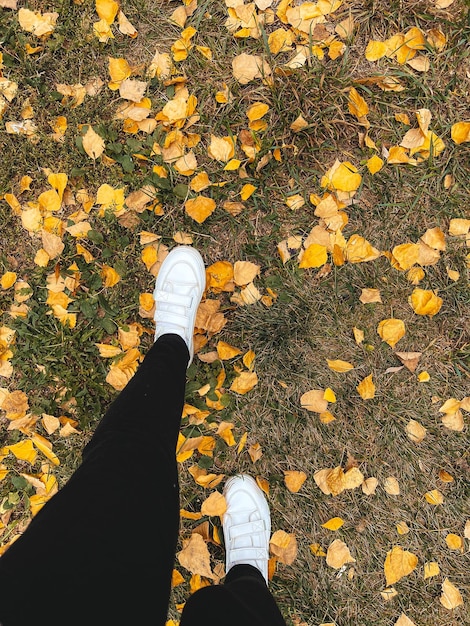 Women's feet in white sneakers walk on the ground dotted with yellow and golden leaves in autumn Top view