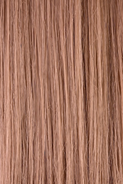 Women's hair background.Close-up.Copy space.