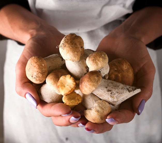 Women's hands hold forest mushrooms