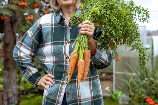 Women's hands hold a freshly harvested crop Healthy organic food vegetables agriculture closeup