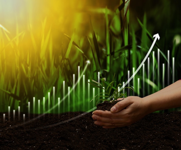 Women's hands hold a handful of soil with a green sprout against the backdrop of a field and a graph representing the concept of crop growth