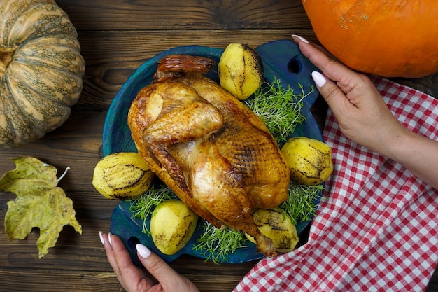 Women's hands serve freshly cooked chicken with potatoes and micro greenery on the table