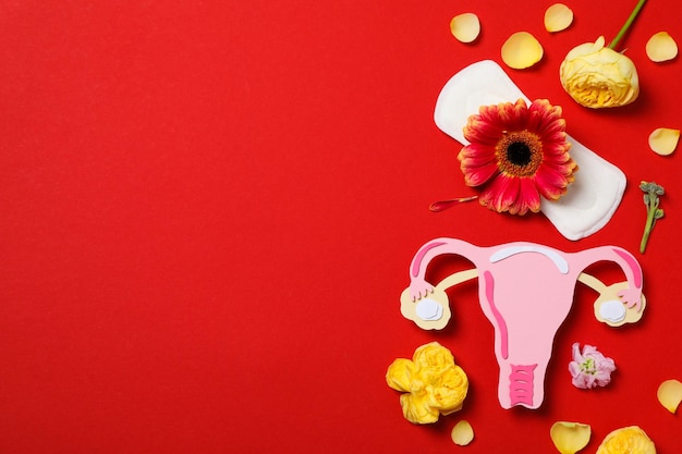 Women's health and women's healthcare concept with uterus