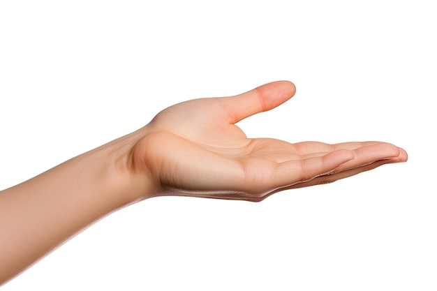 Women's palm making gesture isolated on white background side view