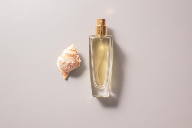 Women's perfume in glass transparent bottle with seashell on a light grey background Concept of expensive perfume and cosmetics