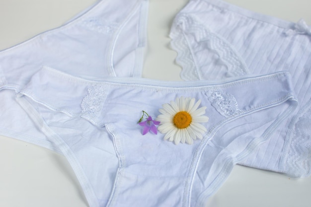 Women's underwear slips Sanitary pads for every day with chamomile