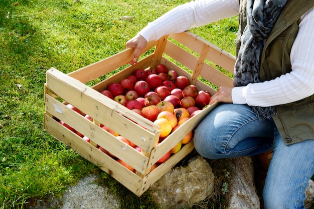 Women showing fresh picked apples