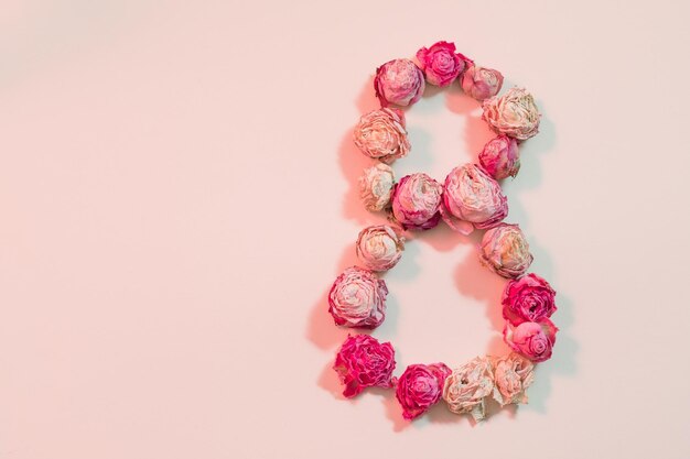 Womens day greeting 8 shaped flowers composition Dried roses on pink background