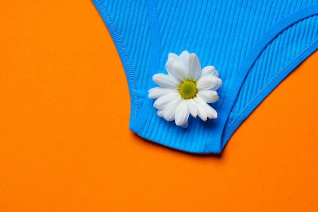 Womens panties with flower buds on paper background