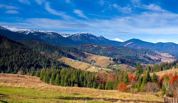 Wonderful beautiful landscape with mountains forest and meadow with trees in Carpathian mountains Ukraine