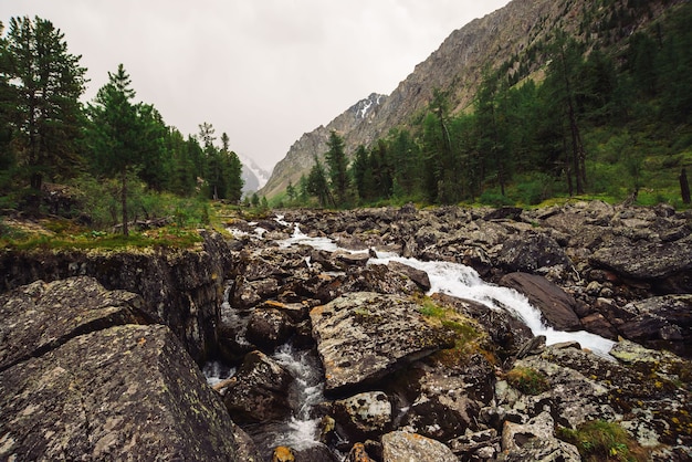 Wonderful fast water stream from glacier in wild mountain creek with big wet stones.