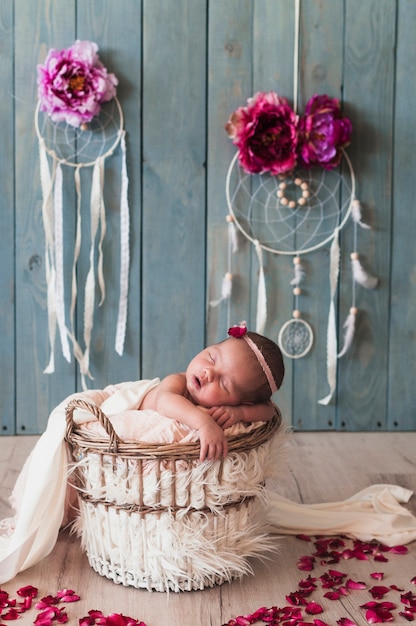 Wonderful infant sleeping dreamily in basket