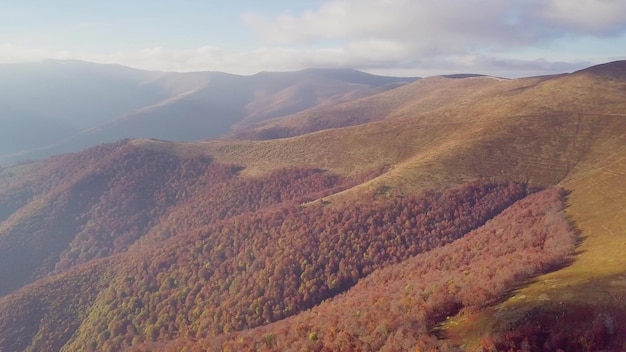 Wonderful landscape from a bird39s eye view Aerial photography of the MaguraJide mountain range in the Carpathians from the air Mount Gemba National Park Shipit Karpat Pylypets Ukraine