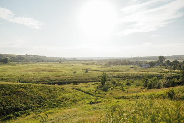 Wonderful landscape during sunrise Wild flowers in springtime Beautiful natural landscape in the summertime Sunny day