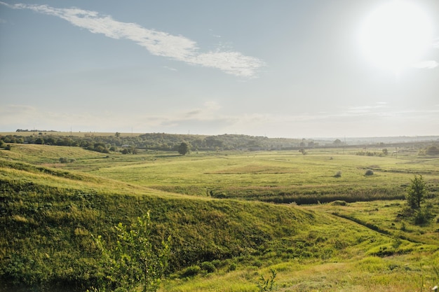 Wonderful landscape during sunrise Wild flowers in springtime Beautiful natural landscape in the summertime Sunny day