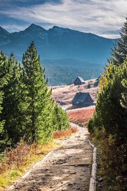 Wonderful sunset in the mountain valley in autumn Tatras