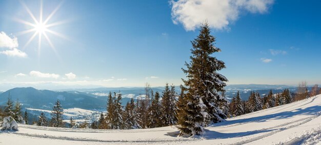 Wonderfully majestic winter landscape glowing by sunlight wintry scene Carpathian Ukraine Europe Beauty world Happy New Year