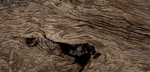 Wood background texture, abstract