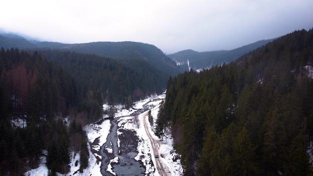 Wood beautiful forest in the mountains. winer. aerial drone shot