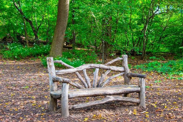 Wood bench in Central Park, New York City