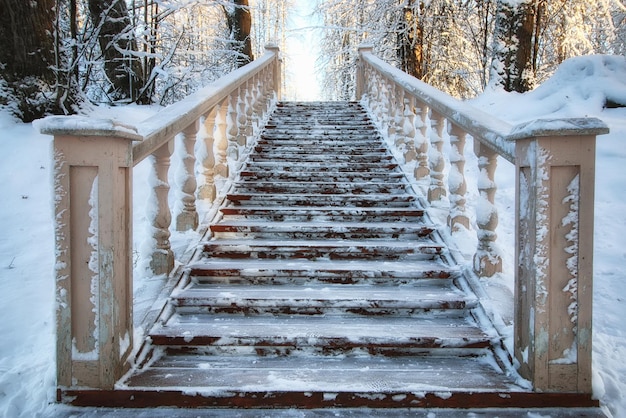 Wood bench in winter