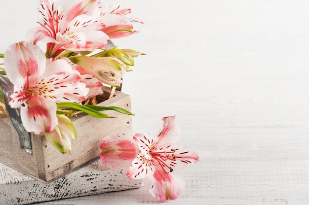 Wood box with lilly on white