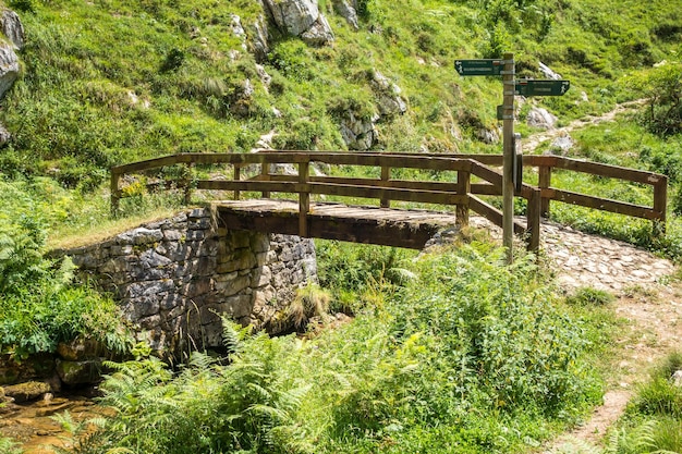 Wood bridge in Picos de Europa Asturias Spain