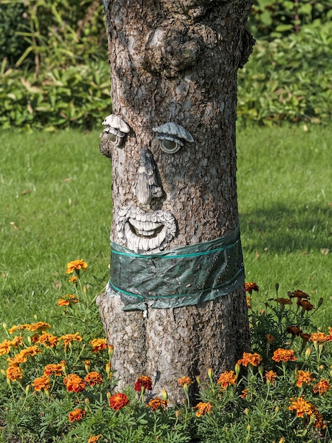 Wood carving on tree trunk