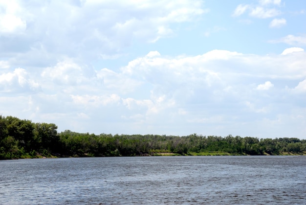 Wood on the coast of the quiet river