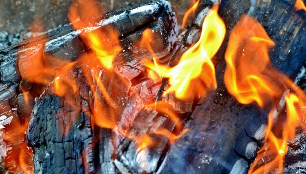 Wood fire