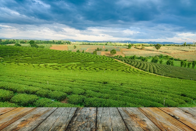 Wood floor on tea farm