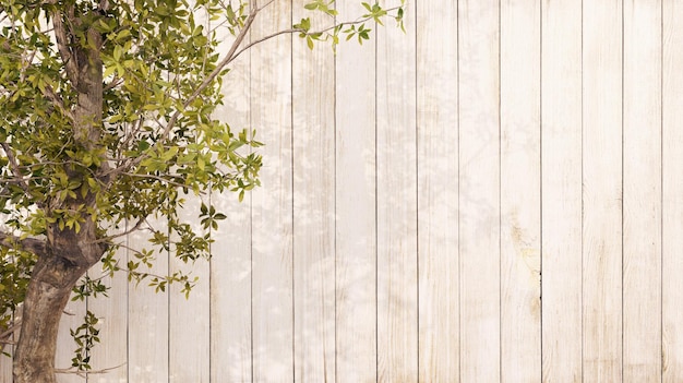 Wood grain background And trees with shadows that hit Old wood grain There are traces of decay