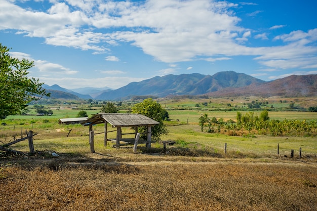 Wood hut in rice field countryside in Pai, Thailand