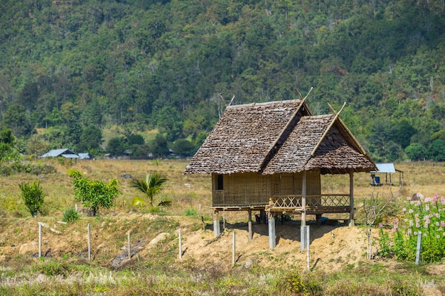 Wood hut in rice field countryside in Pai, Thailand 