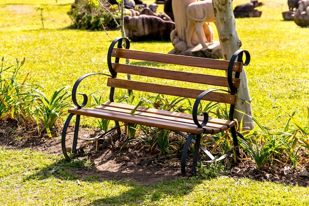 Wood and iron bench in the garden garden bench