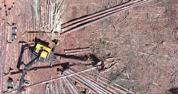 Wood log loader to large transportation truck