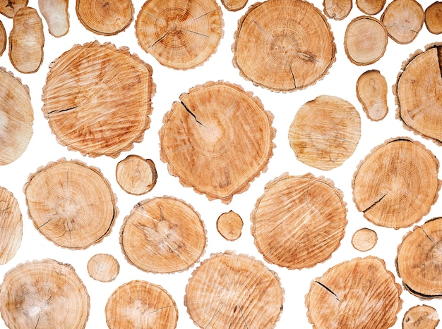 Wood logs set isolated on white background