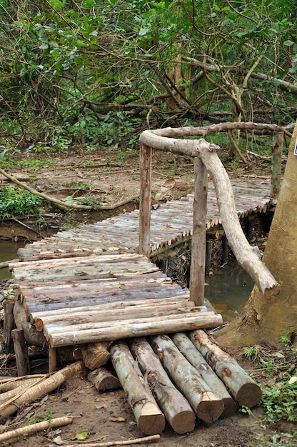 Wood old bridge